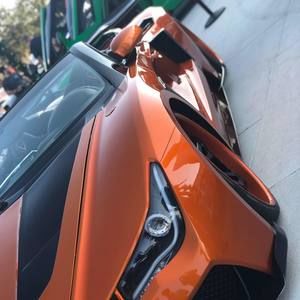 Meet your Posher, Leo